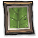 document-image-leaf